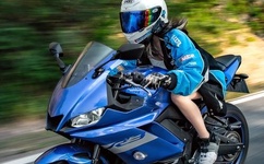 雨宿公交车站第2集樱花